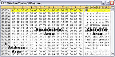 Hex Editor